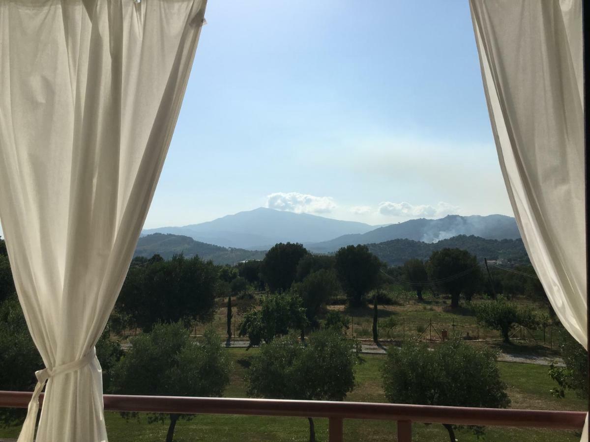 Corbezzolo Bed & Breakfast Vallo della Lucania Exterior foto