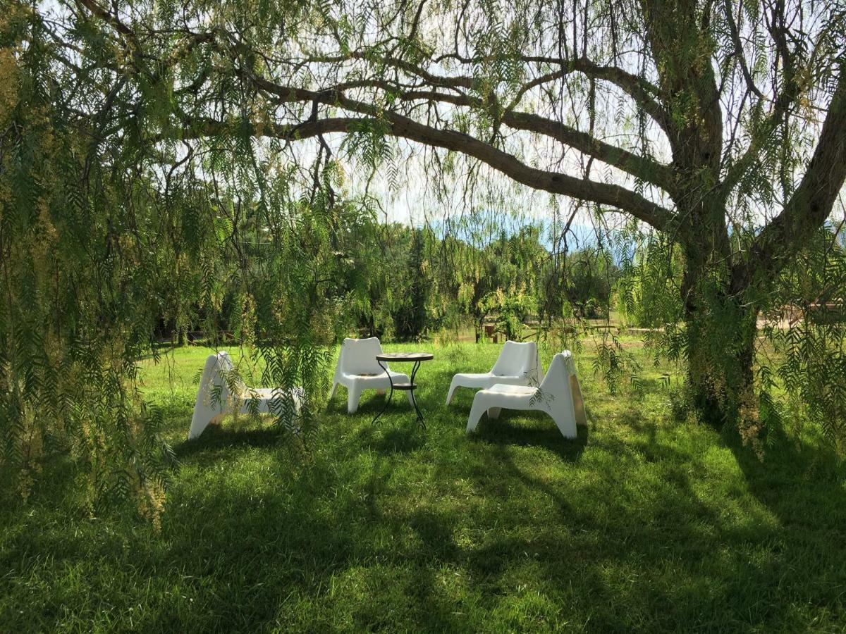 Corbezzolo Bed & Breakfast Vallo della Lucania Exterior foto